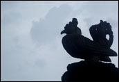 เพราะฉันขัน ตะวันจึงขึ้น 